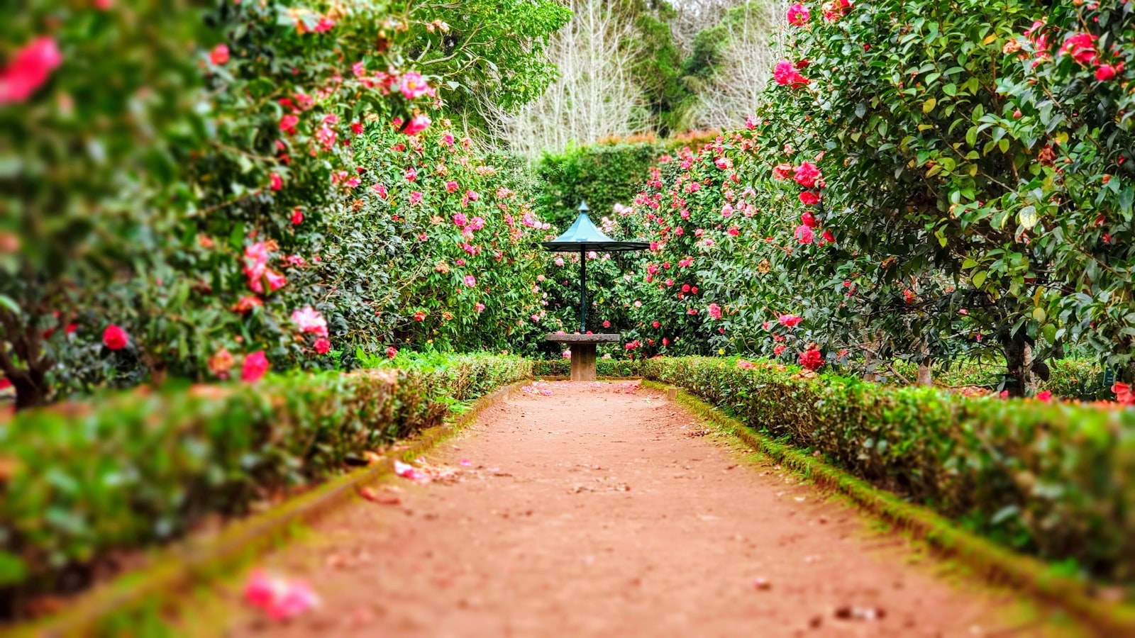 Gartengestaltung