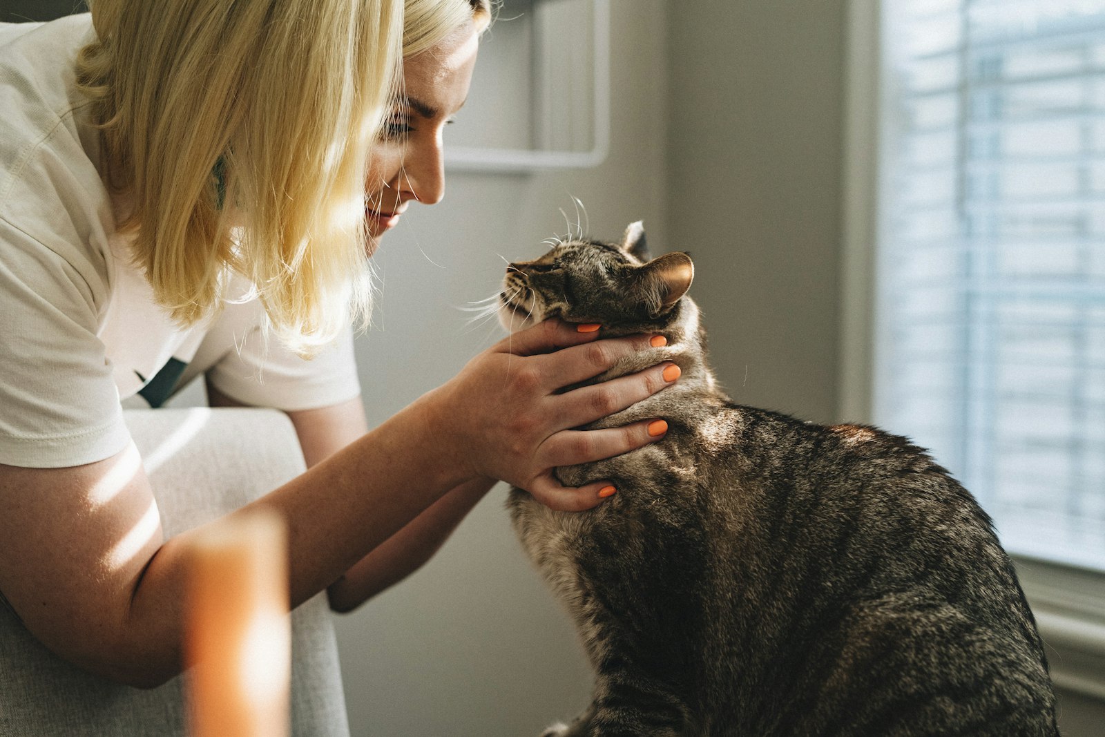 Tierärztin mit Katze